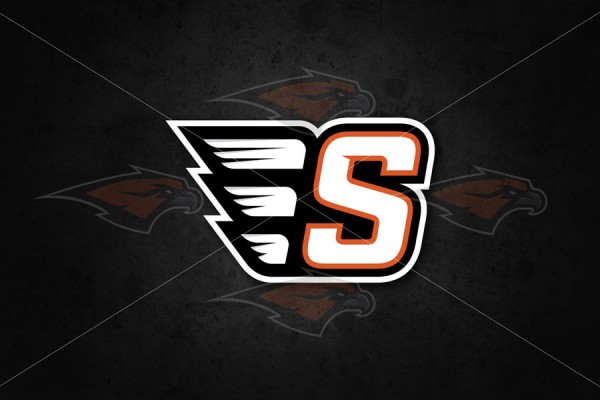 Skyridge S logo